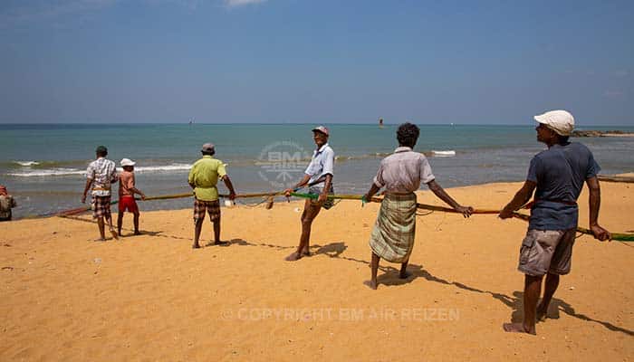 Info Negombo - Sri Lanka