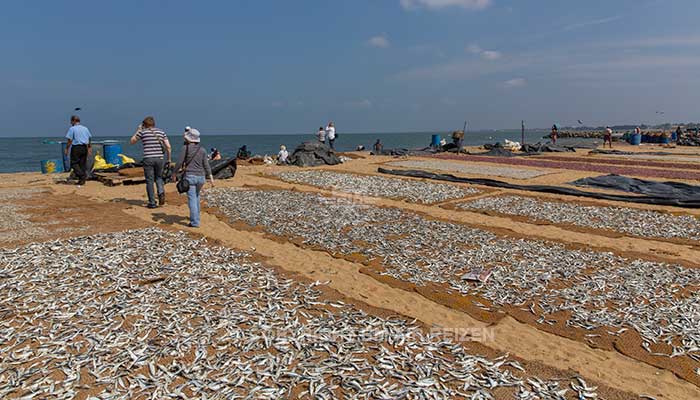 Info Negombo - Sri Lanka