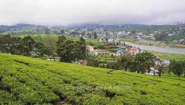 Info Nuwara Eliya - Sri Lanka