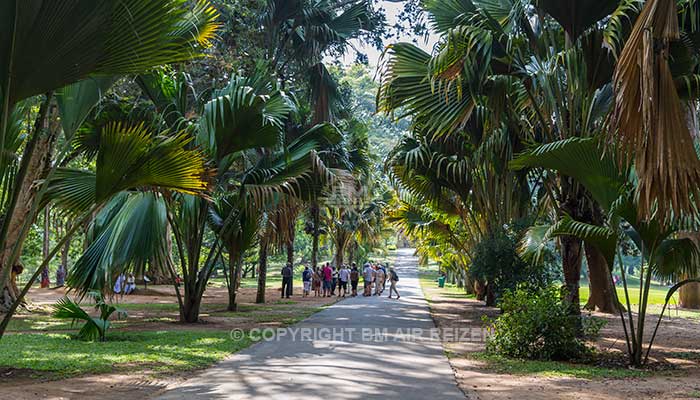 Info Peradeniya