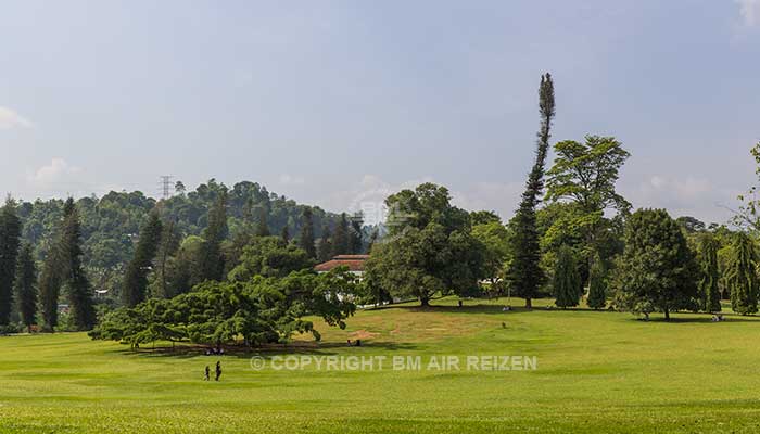 Info Peradeniya