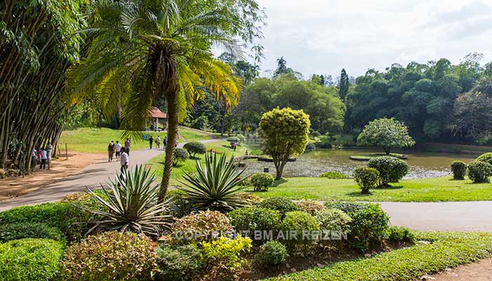 Info Peradeniya