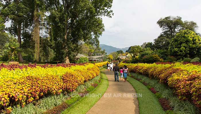 Info Peradeniya