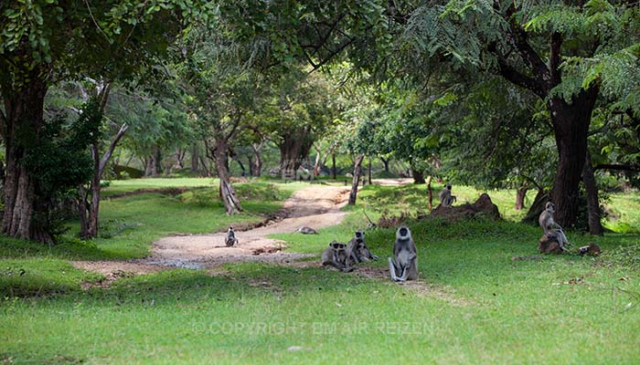 Info Polonnaruwa - Sri Lanka