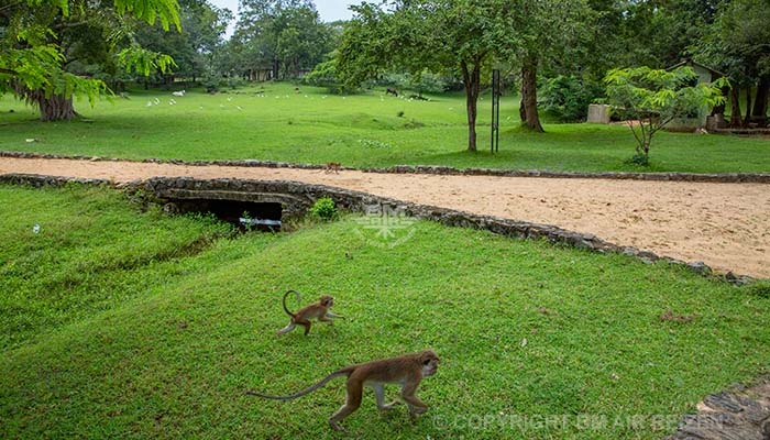 Info Polonnaruwa - Sri Lanka