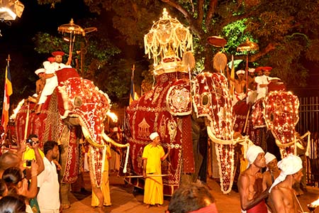 Esala Perahera festival - Kandy