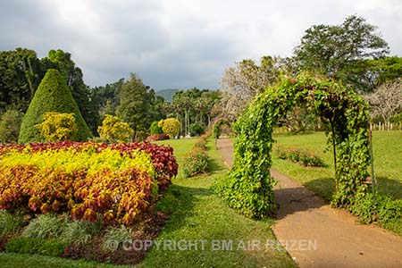 Peradeniya - Flower Garden - Sri Lanka