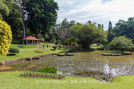 Peradeniya - Lake - Sri Lanka