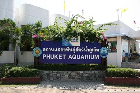 Phuket - Panwa Cape - Aquarium