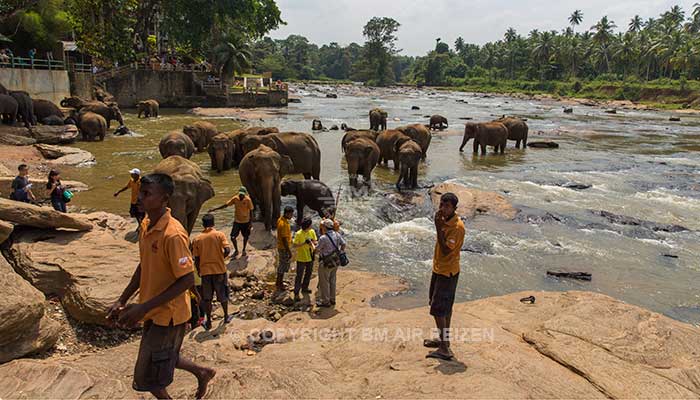 Info Pinnawela - Sri Lanka