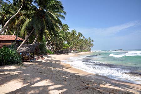 Strand Mirissa - Sri Lanka
