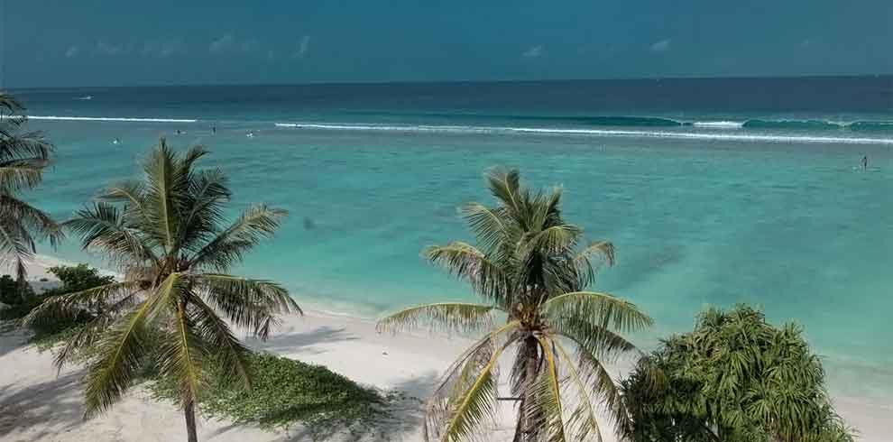 Maldives - Whiteharp Beach Inn