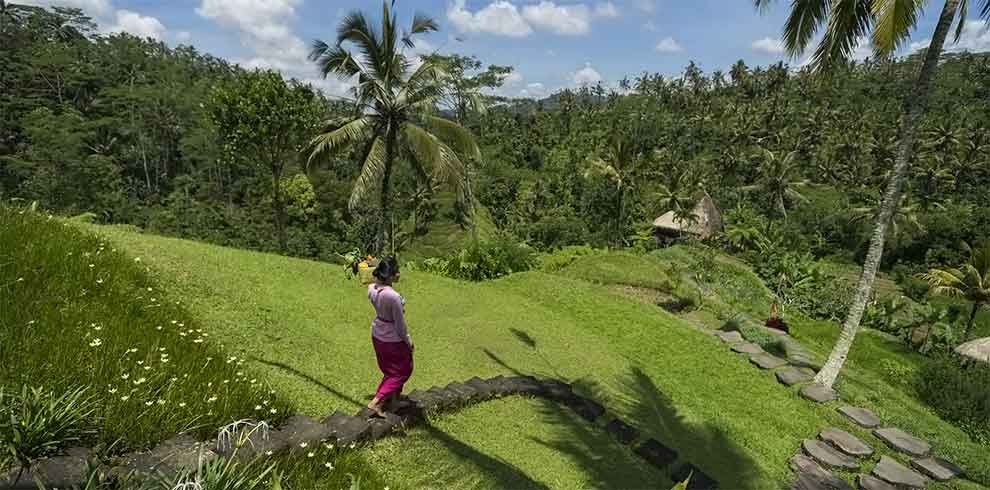 Payangan - Adiwana Dara Ayu Villas