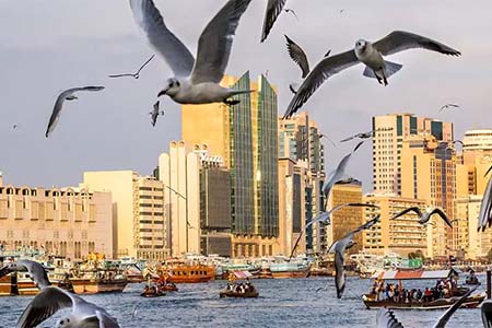 Deira - Dubai