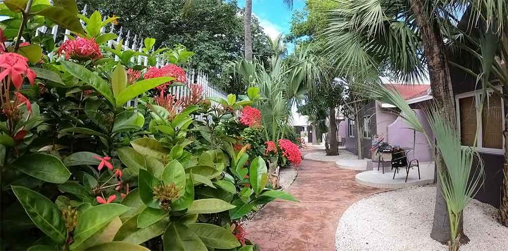 Aruba - Arubiana Inn