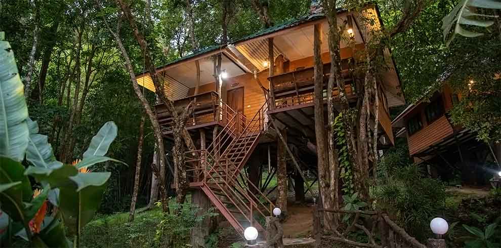 Khao Sok - Khao Sok Rainforest Resort