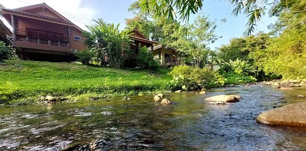 Khao Sok - Khao Sok Rainforest Resort