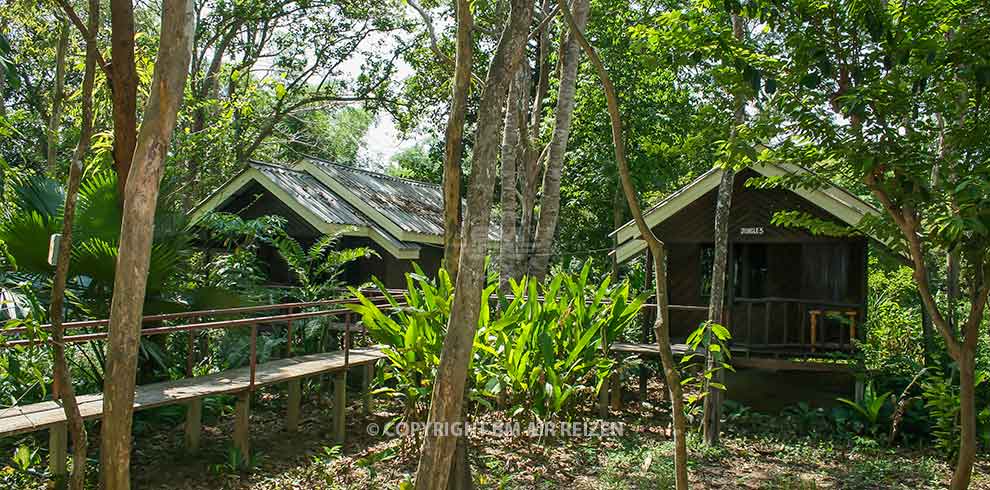 Khao Sok - Khao Sok Riverside Cottages