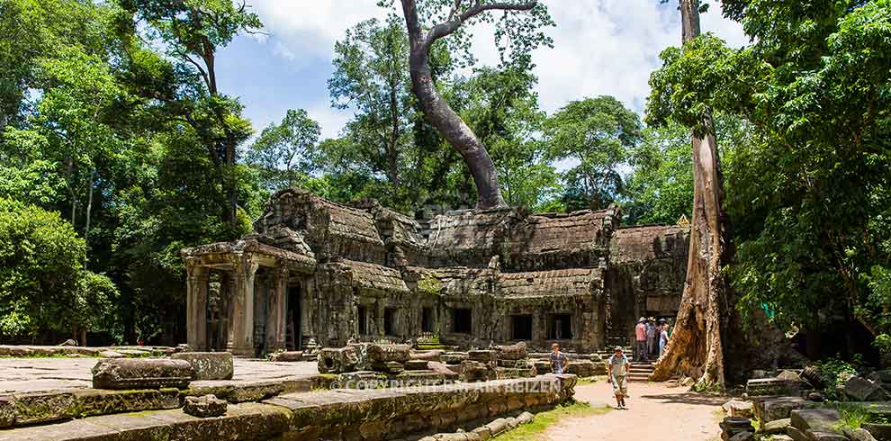 Siem Reap - Ta Prohm