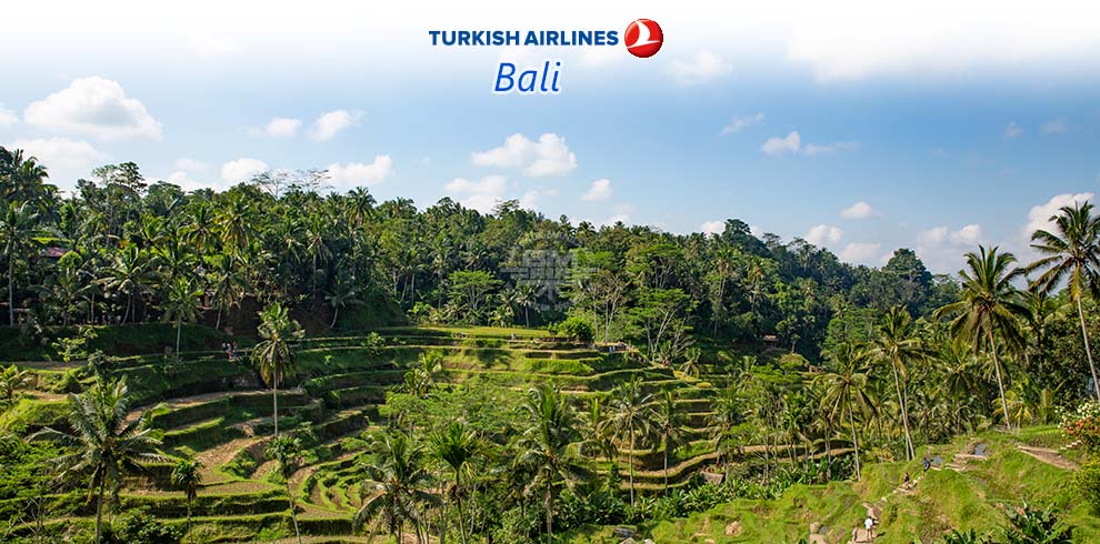 Turkish Airlines - Bali