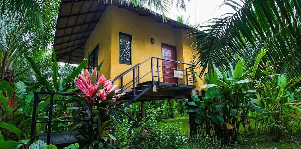 Khao Sok - Anurak Community Lodge