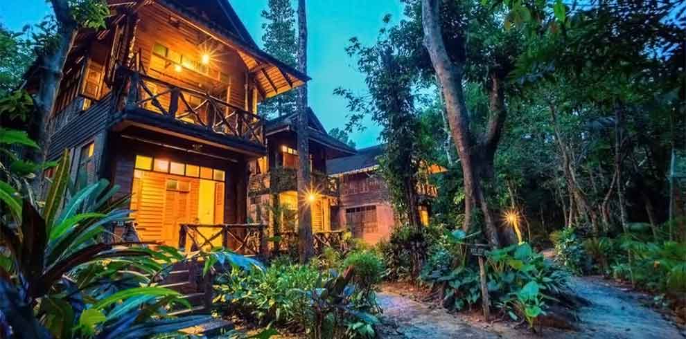 Khao Sok - Art's Riverview Lodge