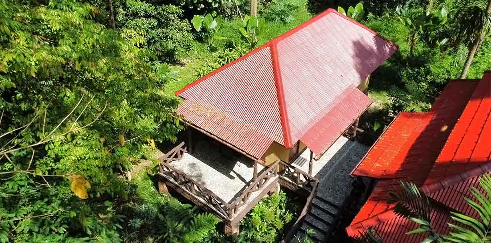 Khao Sok - Art's Riverview Lodge