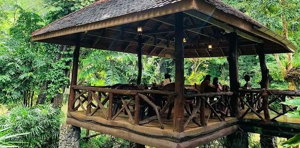 Khao Sok - Art's Riverview Lodge
