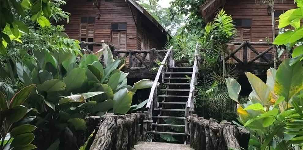 Khao Sok - Art's Riverview Lodge