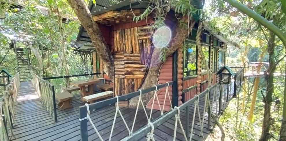 Khao Sok - Khao Sok Tree House Resort