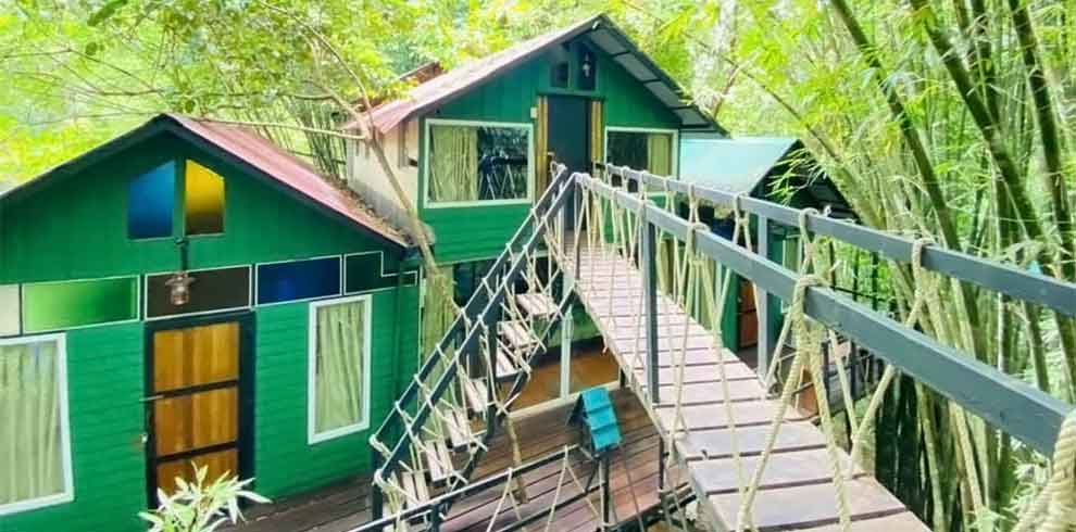 Khao Sok - Khao Sok Tree House Resort