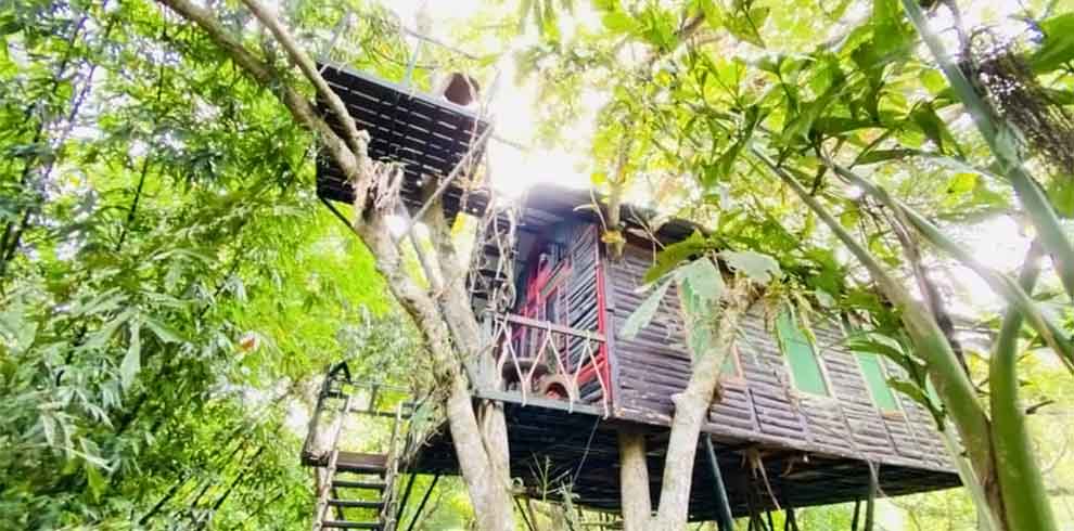 Khao Sok - Khao Sok Tree House Resort