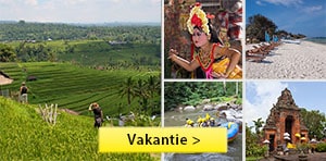 vakantie bali