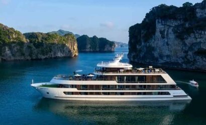 Stellar of the Seas