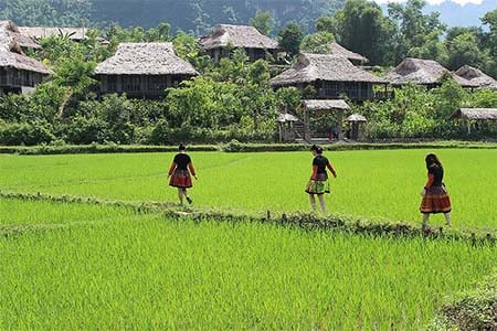 Mai Chau