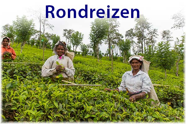 Rondreizen Sri Lanka