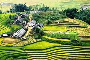 Sapa