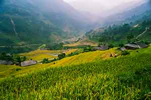 Hoang Su Phi