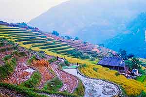 Ha Giang