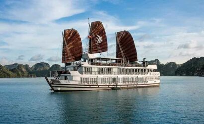 Pelican Glory Cruise