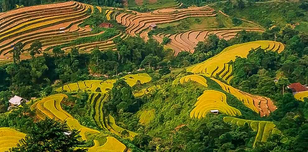 Ha Giang