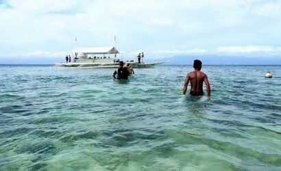 Quo Vadis Dive Resort Moalboal