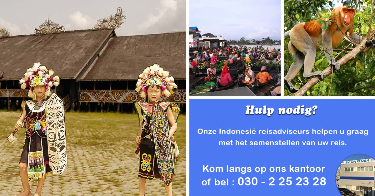 Borneo - Kalimantan