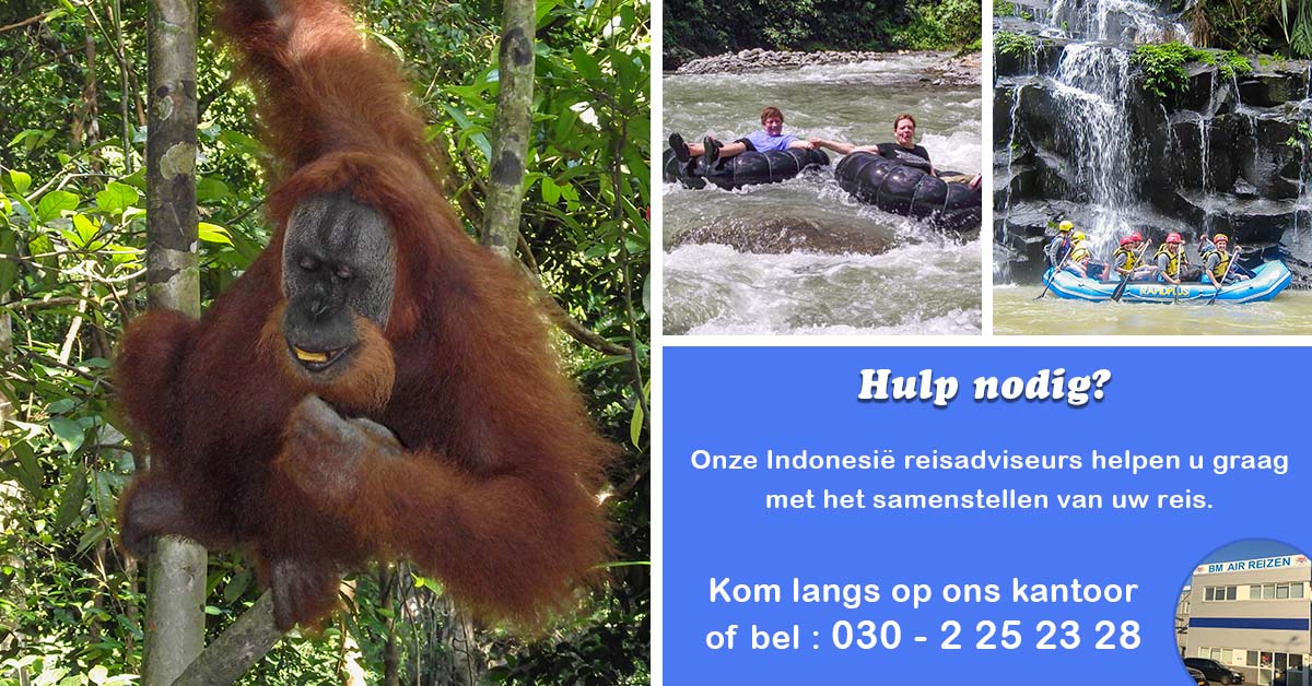 Bukit Lawang
