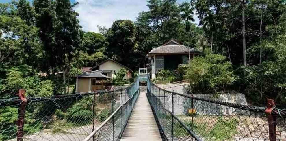 Ecolodge Bukit Lawang