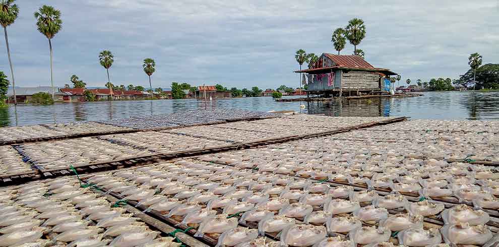 Lake Tempe - Sulawesi