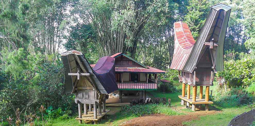 Toraja - Sulawesi