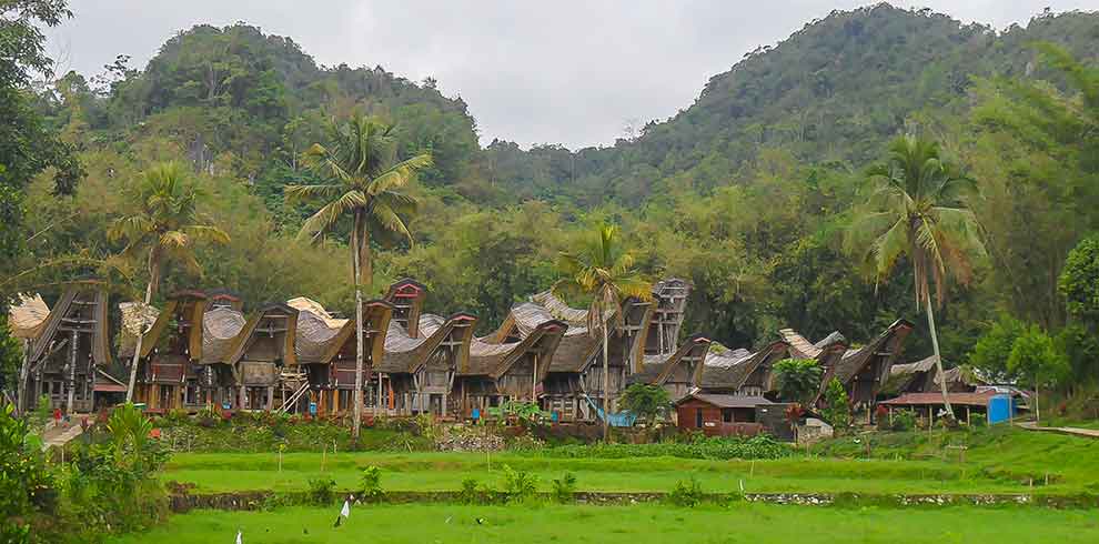 Kete-Kesu - Toraja