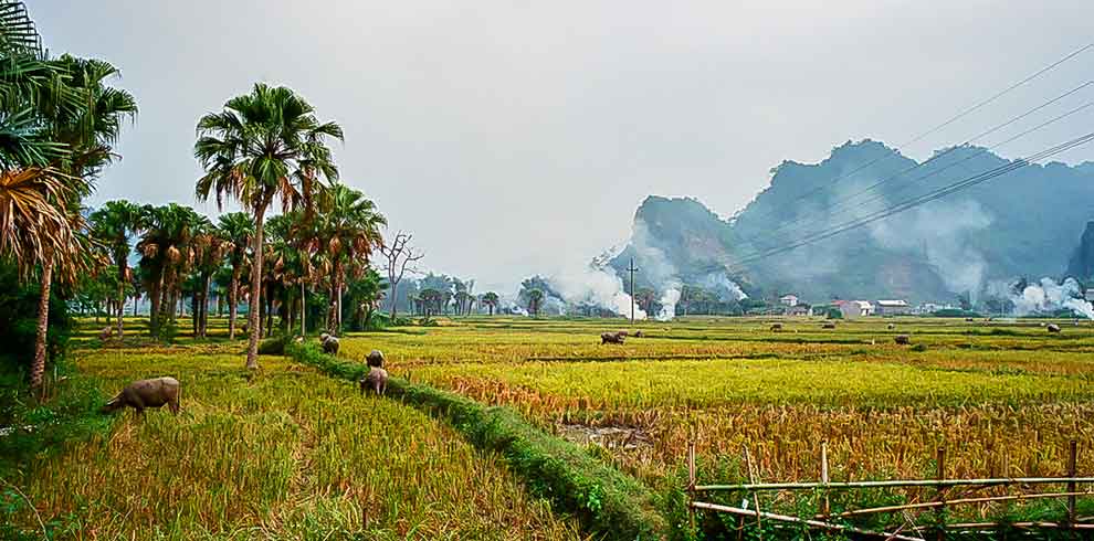 Cao Bang