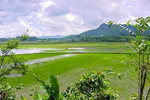 Batutumonga